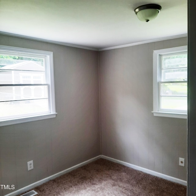 4112 Forrest Ave, Efland, NC 27243 - spare room with plenty of natural light, carpet flooring, and ornamental molding