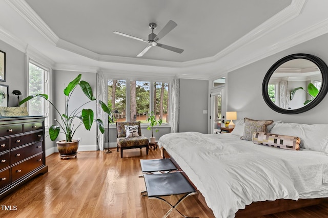 763 Heritage Arbor Dr, Wake Forest, NC 27587 - bedroom with a tray ceiling, multiple windows, ornamental molding, wood finished floors, and a ceiling fan