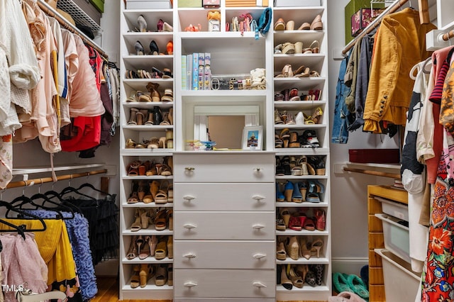 763 Heritage Arbor Dr, Wake Forest, NC 27587 - view of spacious closet