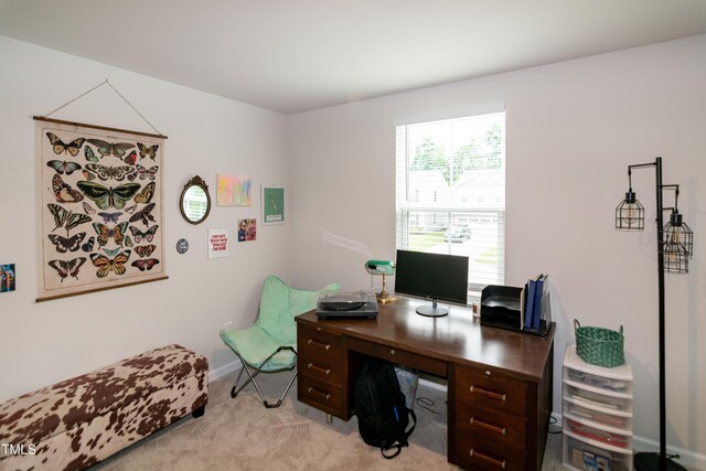 1476 Burgundy Bluff Ln, Zebulon, NC 27597 - photo 42