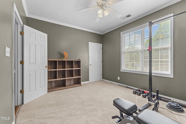 3159 Wisteria Ln Unit 202, Fayetteville, NC 28314 - workout room featuring ornamental molding, ceiling fan, and carpet floors