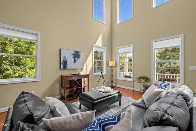 705 Harkness Cir, Durham, NC 27705 - living room with plenty of natural light, a high ceiling, and wood finished floors