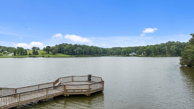310 Hidden Lake Dr, Youngsville, NC 27596 - dock area with a water view and a view of trees