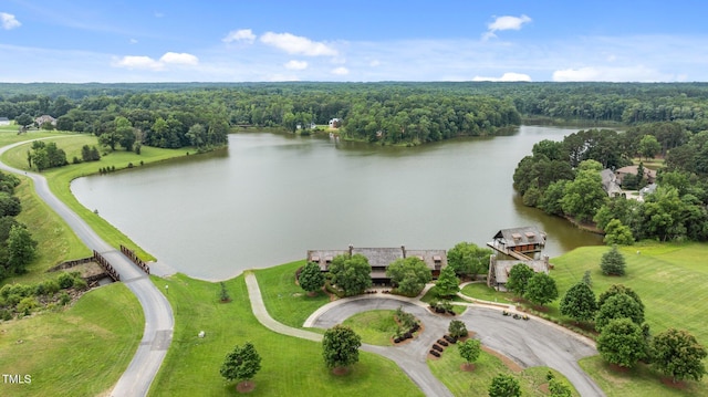 310 Hidden Lake Dr, Youngsville, NC 27596 - aerial view of a large body of water and a heavily wooded area