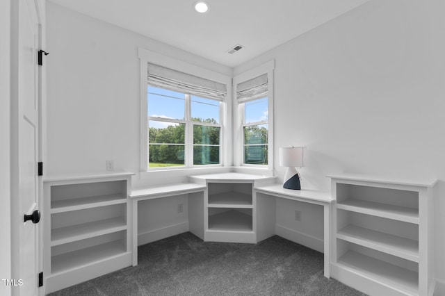 310 Hidden Lake Dr, Youngsville, NC 27596 - spacious closet with dark colored carpet
