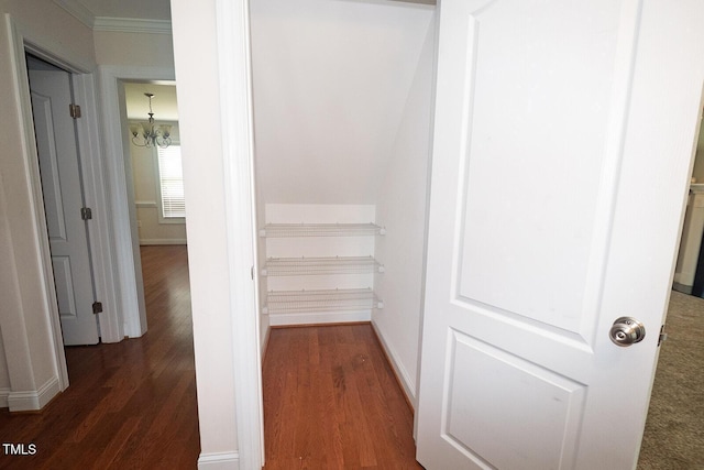 90 Liberty Ln, Autryville, NC 28318 - view of closet
