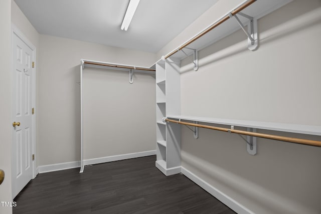 6001 Waters Way Dr, Raleigh, NC 27606 - walk in closet with dark wood-type flooring