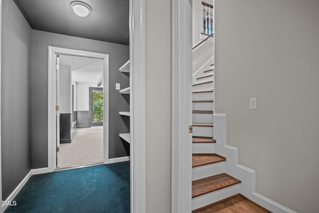 6001 Waters Way Dr, Raleigh, NC 27606 - stairs featuring baseboards and carpet floors