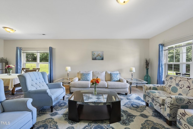 702 Pitch Pine Dr, Creedmoor, NC 27522 - view of living room