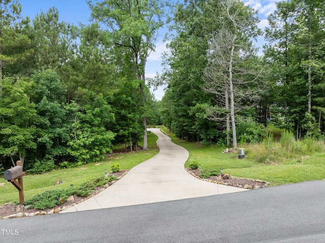 1321 Cedar Grove Rd, Pittsboro, NC 27312 - photo 28