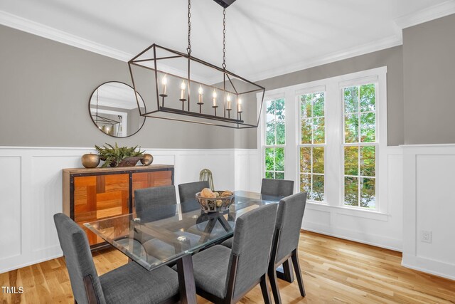 3604 Thorndike Dr, Wake Forest, NC 27587 - photo 6