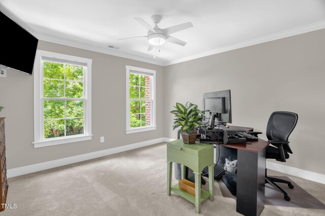 3604 Thorndike Dr, Wake Forest, NC 27587 - photo 33