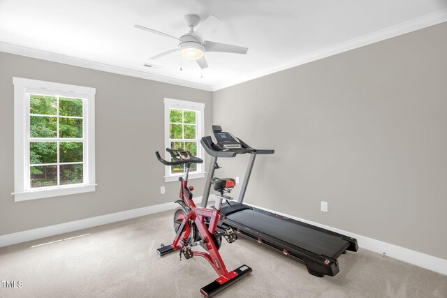 3604 Thorndike Dr, Wake Forest, NC 27587 - photo 34