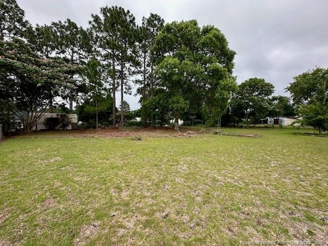 162 E Twelve Oaks Rd, Raeford, NC 28376 - view of green lawn
