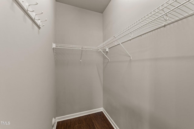 100 Tobacco Leaf Ln, Apex, NC 27502 - spacious closet with dark wood finished floors