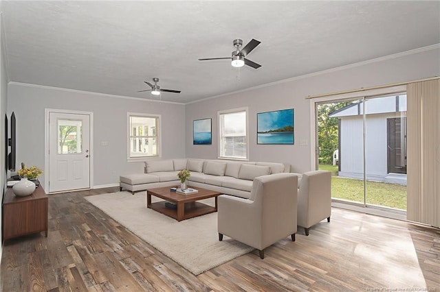 2110 Lombardy Dr, Fayetteville, NC 28304 - living area with wood finished floors, crown molding, and ceiling fan