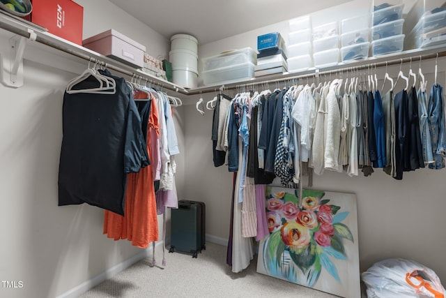 9302 Nellman Ln, Raleigh, NC 27617 - walk in closet with carpet flooring