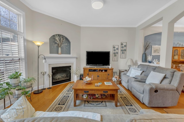 12227 Orchardgrass Ln, Raleigh, NC 27614 - living room with wood finished floors, ornamental molding, and a glass covered fireplace
