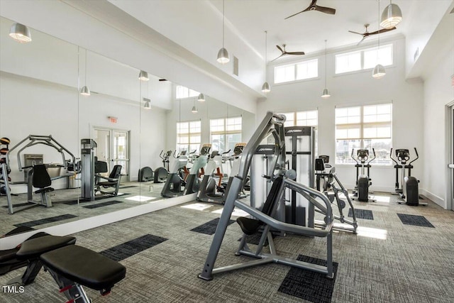 4940 Enlightenment Rd, Raleigh, NC 27616 - exercise room with a high ceiling, carpet, and a ceiling fan