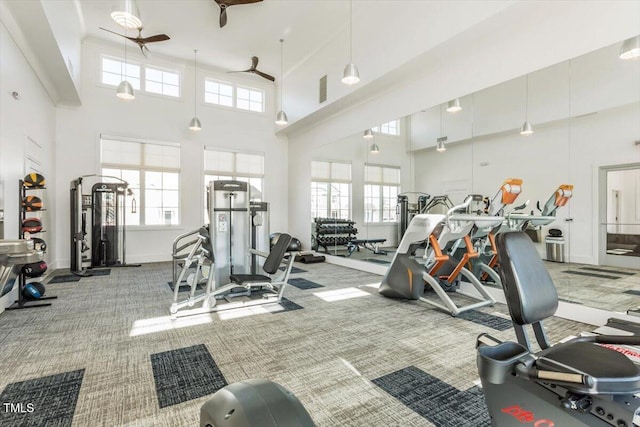 4940 Enlightenment Rd, Raleigh, NC 27616 - exercise room featuring a towering ceiling, carpet floors, healthy amount of natural light, and a ceiling fan