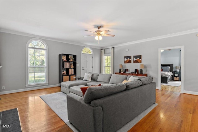 1819 Umstead Rd, Durham, NC 27712 - living area with ceiling fan, healthy amount of natural light, crown molding, and light wood-style floors