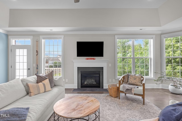 10310 Sablewood Dr Unit 211, Raleigh, NC 27617 - living room with plenty of natural light, a fireplace with flush hearth, and wood finished floors
