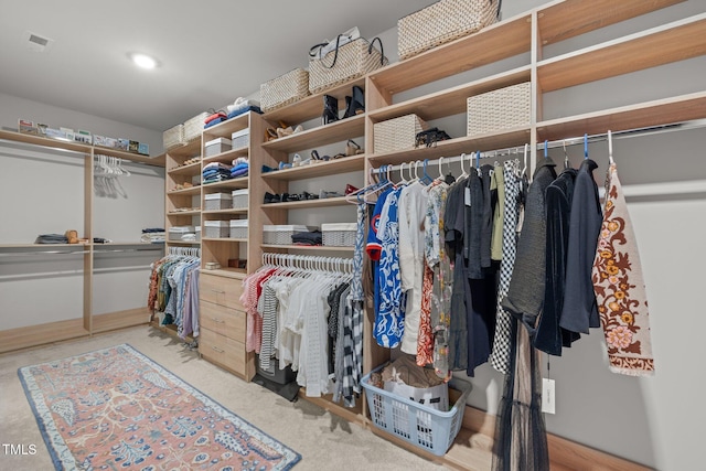 10310 Sablewood Dr Unit 211, Raleigh, NC 27617 - spacious closet with carpet floors