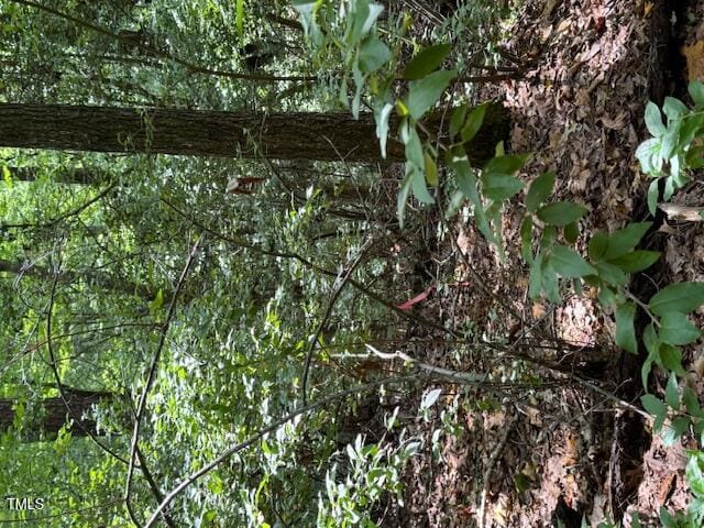 0 Redgate Rd, Pittsboro, NC 27312