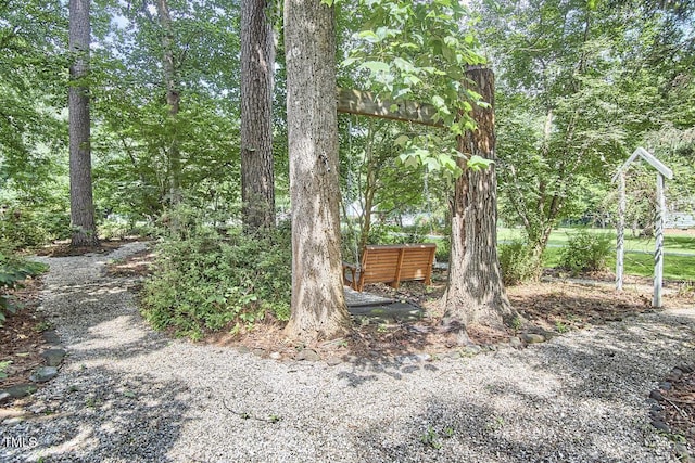 2334 Dawn Trl, Durham, NC 27712 - view of yard
