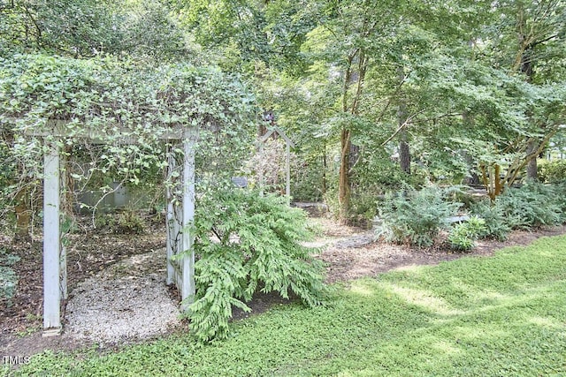 2334 Dawn Trl, Durham, NC 27712 - view of yard