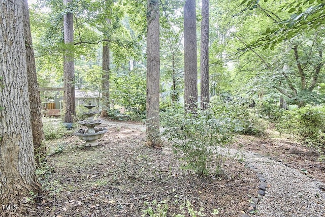 2334 Dawn Trl, Durham, NC 27712 - view of tree filled area