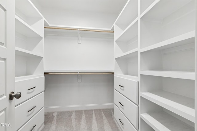 1625 Banks View Dr, Raleigh, NC 27603 - spacious closet featuring light colored carpet