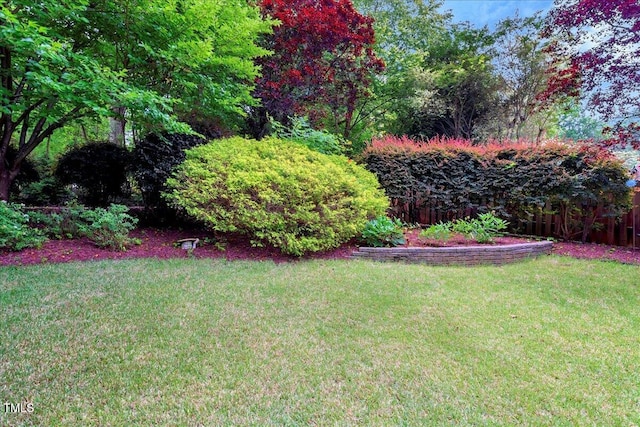 218 Kinvara Ct, Wake Forest, NC 27587 - view of yard