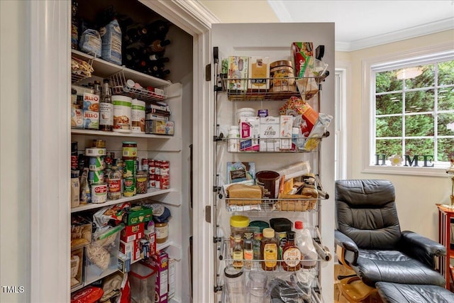 218 Kinvara Ct, Wake Forest, NC 27587 - view of pantry