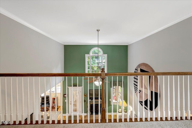 218 Kinvara Ct, Wake Forest, NC 27587 - staircase featuring crown molding and carpet floors