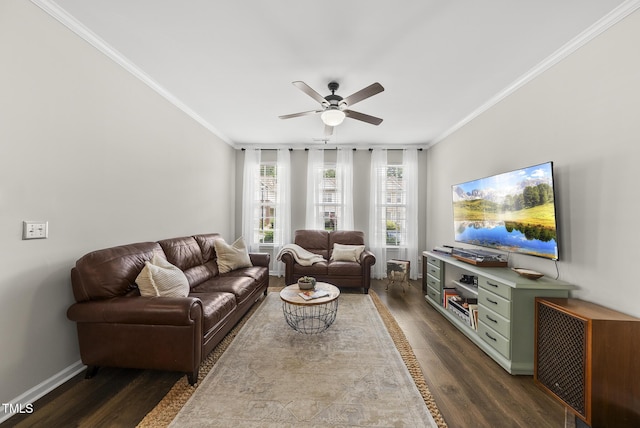 4413 Sugarbend Way, Raleigh, NC 27606 - living room featuring dark wood finished floors, ornamental molding, and ceiling fan