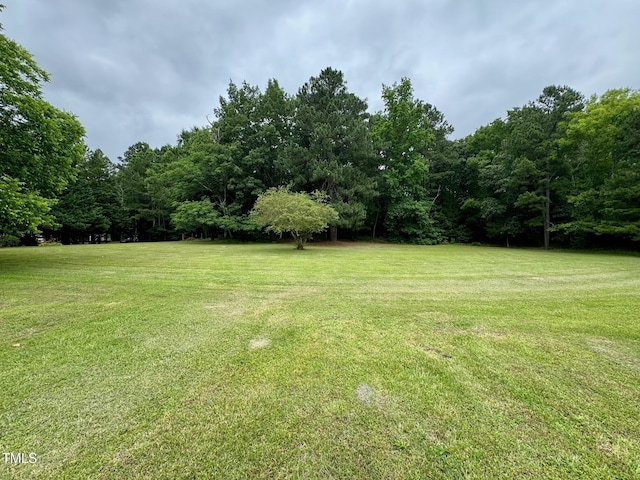 410 High St, Norlina, NC 27563 - view of green lawn featuring a forest view