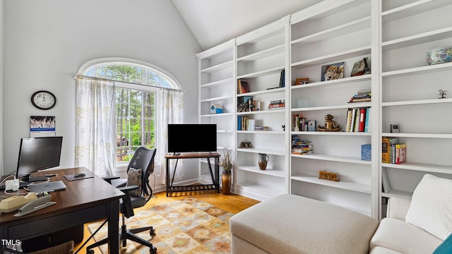 5 Wake Forest Ct, Southern Pines, NC 28387 - home office with lofted ceiling and light wood-type flooring