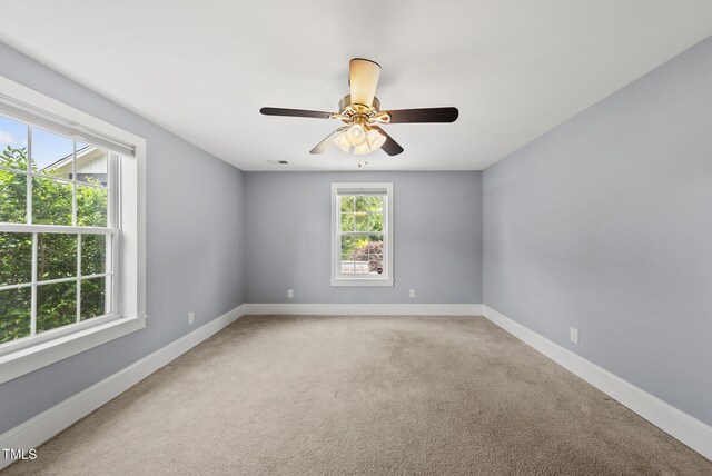 208 Maywood Ave, Raleigh, NC 27603 - photo 23