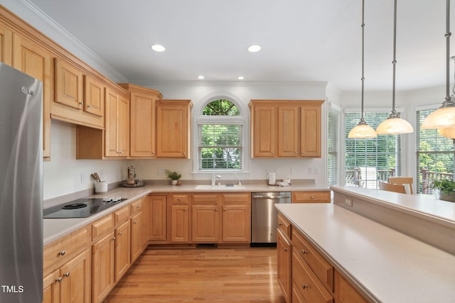 315 Birdwood Ct, Cary, NC 27519 - kitchen featuring stainless steel appliances, light wood-style flooring, light countertops, pendant lighting, and recessed lighting