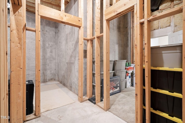 315 Birdwood Ct, Cary, NC 27519 - view of basement