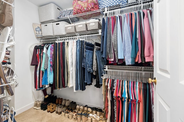 315 Birdwood Ct, Cary, NC 27519 - walk in closet featuring carpet flooring