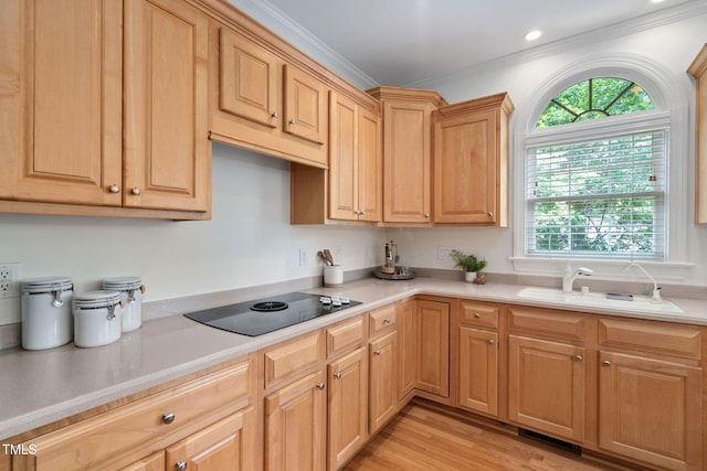 315 Birdwood Ct, Cary, NC 27519 - kitchen featuring black electric cooktop, healthy amount of natural light, light countertops, ornamental molding, and light wood finished floors