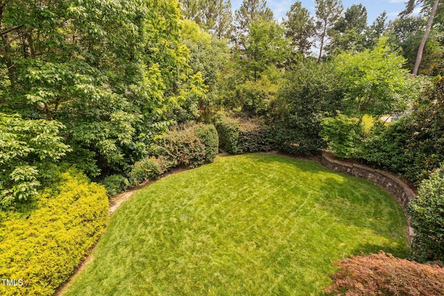315 Birdwood Ct, Cary, NC 27519 - view of green lawn