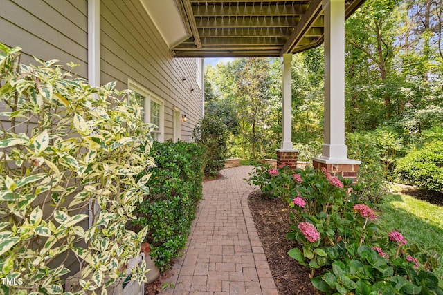 315 Birdwood Ct, Cary, NC 27519 - view of porch