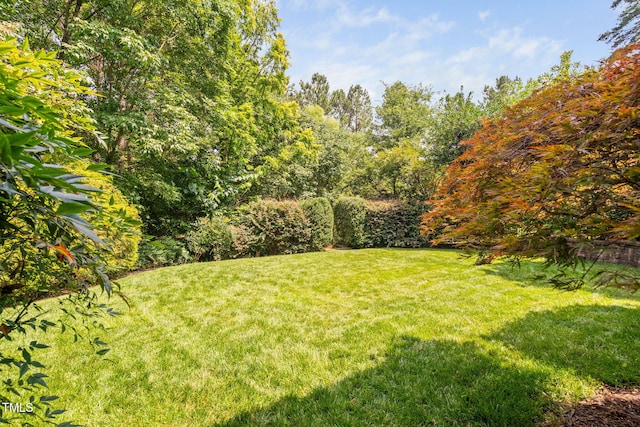 315 Birdwood Ct, Cary, NC 27519 - view of grassy yard
