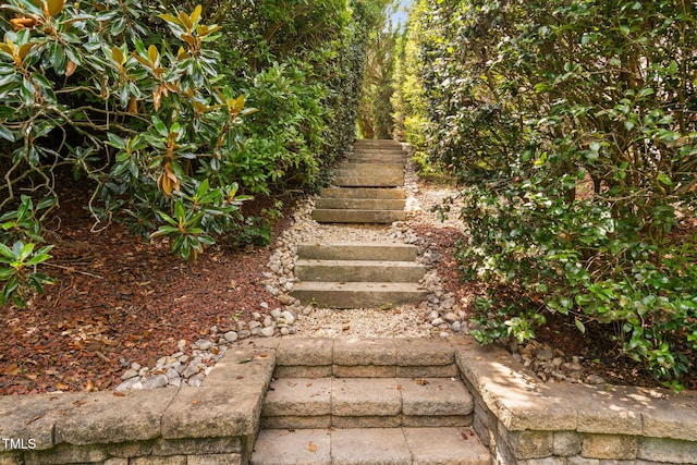 315 Birdwood Ct, Cary, NC 27519 - view of stairs