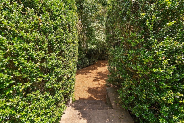 315 Birdwood Ct, Cary, NC 27519 - view of undeveloped land