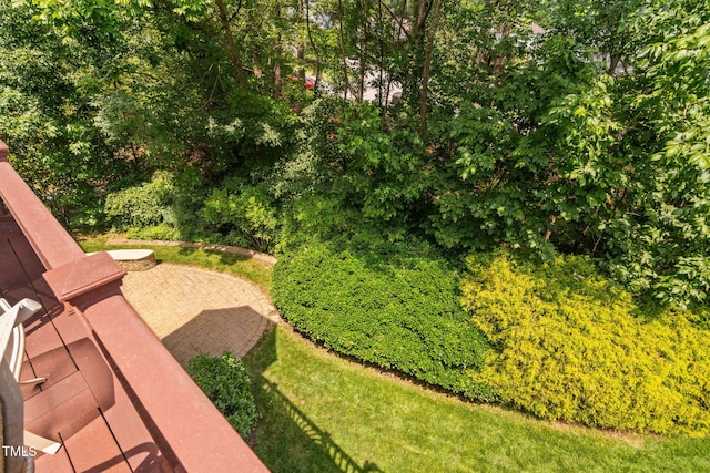 315 Birdwood Ct, Cary, NC 27519 - view of yard