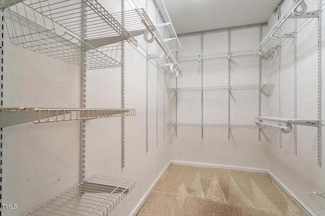 1016 Goldmist Ln, Durham, NC 27713 - walk in closet with carpet floors